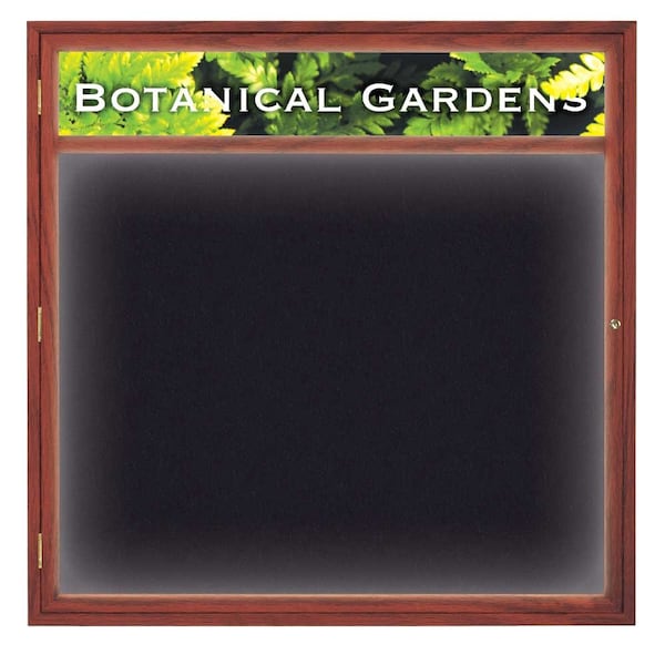 Open Faced Traditional Corkboard, 36x24"